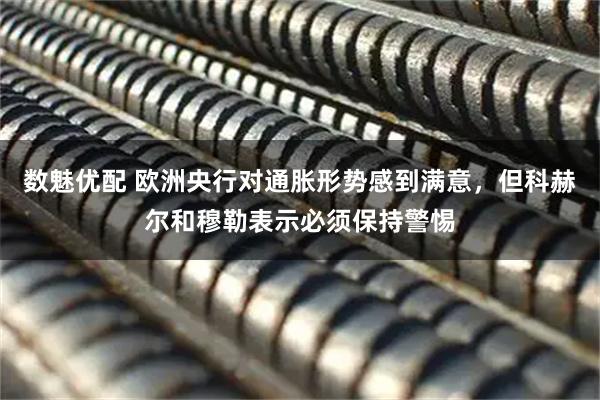 数魅优配 欧洲央行对通胀形势感到满意，但科赫尔和穆勒表示必须保持警惕