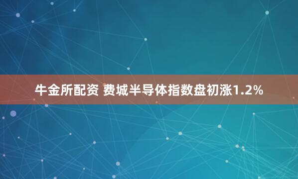 牛金所配资 费城半导体指数盘初涨1.2%