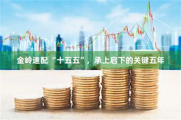 金岭速配 “十五五”，承上启下的关键五年