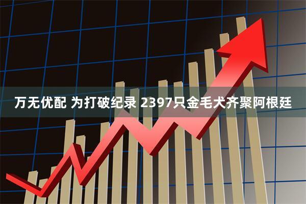 万无优配 为打破纪录 2397只金毛犬齐聚阿根廷