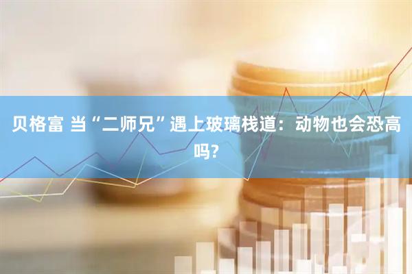 贝格富 当“二师兄”遇上玻璃栈道：动物也会恐高吗?