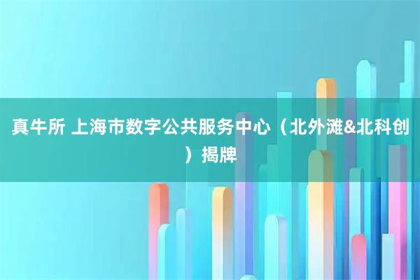 真牛所 上海市数字公共服务中心（北外滩&北科创）揭牌
