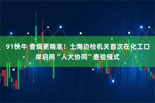 91快牛 查缉更精准！上海边检机关首次在化工口岸启用“人犬协同”查验模式